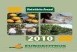 relatorio 2010 · Auxílio inspeção Greening e ... em função da nova visão estratégica institucio-nal. ... resultados e aumentou o interesse