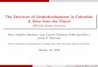 The Structure of Underdevelopment in Colombia: A View from ...scholar.harvard.edu/files/jrobinson/files/choco_talk_harvard.pdf · His successor, President Virgilio Barco announced