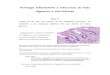 363ria e infecciosa do tubo digestivo e vias biliares.doc)users.med.up.pt/cc04-10/biopatseminario/11_InflInfecTuboDigestivo.pdf · Patologia inflamatória e infecciosa do tubo digestivo