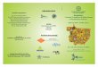 UNIVERSIDADE FEDERAL DE MATO GROSSO Seminário: e ... · 23 e 24 de setembro de 2014 Seminário: ... NACIONAL DE REFERÊNCIA EM ENERGIA ... do hidrogênio rerado do etanol na comunidade