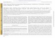 The Novel Ribonucleotide Reductase Inhibitor COH29 Inhibitsmolpharm.aspetjournals.org/content/molpharm/87/6/996.full.pdf · Hongzhi Li, Zheng Liu, Charles D. Warden, Leila Su, Linda