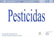 Fernanda Vilarinho 2014 - repositorio.insa.ptrepositorio.insa.pt/bitstream/10400.18/2434/1/Pesticidas PPT_ 2014.pdf · pelo Homem. Pesticidas São todas as substâncias ou misturas,