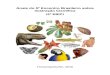 Anais do 5º Encontro Brasileiro sobre Ilustração ... · da Ilustração Científica como forma de apresentação de pesquisa, de fazer artístico e da representação iconográfica,