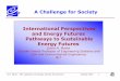 A Challenge for Society International Perspectives and ... · A Challenge for Society International Perspectives and Energy Futures Pathways to Sustainable D.H. Marks –MIT Laboratory