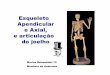 Esqueleto Apendicular e Axial, e articulação do joelho · Esqueleto Apendicular e Axial, e articulação do joelho Marina Roizenblatt 75 Monitora de Anatomia . Canal Vertebral Coluna