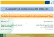 PLANEJAMENTO E CUSTOS DO ALGODÃO BRASILEIRO · evolução mensal de custos, considerando variações apenas nos preços dos insumos; Representa uma evolução da “inflação”