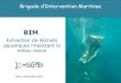 Brigade d’Intervention Maritime · BIM Extraction de déchets aquatiques impactant le milieu marin Brigade d’Intervention Maritime DEAL, 20 Octobre 2017