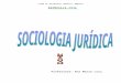 SOCIOLOGIA DO DIREITO  · Web viewA Sociologia das Organizações desenvolveu-se a partir de estudos dos agrupamentos sociais criados, deliberadamente ou não, para determinados