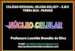 Professora Leonilda Brandão da Silva · − Como é chamado o par de cromossomos que iden-tifica o sexo? Quais são eles? ... Os cromossomos sexuais (X e Y) não são numerados,