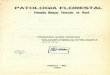 Principais Doencas florestais no Brasilainfo.cnptia.embrapa.br/.../item/187469/1/632-F383p-p352-354-9.pdf · fazendo cessar a produção de látex (CHUA, 1967; PARANJOTHY et ai.,