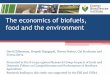 The economics of biofuel - Texas A&M Universitycnas.tamu.edu/confsummaries/ZilbermanBiofuelFloridaPres.pdf · The economics of biofuels, food and the environment David Zilberman,