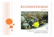 Aula5 2011 Ecossistemas - Área de Engenharia de Recursos ...hidro.ufcg.edu.br/.../MaterialDaDisciplina/Aula5_2011_Ecossistemas.pdf · Comunidade A Comunidade B Comunidade D INTERAGINDO!!!!!