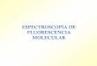 ESPECTROSCOPÍA DE FLUORESCENCIA MOLECULAR · Factores que afectan a la fluorescencia ... puede asociarse a la molécula en su forma ácida o básica La variación de la fluorescencia