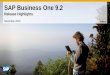 SAP Business One 9 · SAP has no obligation to pursue any course of business outlined in this document or any related presentation, or to develop or release any functionality mentioned