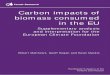 Carbon impacts of biomass consumed in the EU · Carbon impacts of biomass consumed in the EU: Supplementary analysis and interpretation for the European Climate Foundation Robert