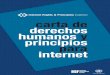 Internet Rights & Principles Coalition carta de derechos ... · Declaración Universal de Derechos Humanos y otros pactos que conforman la Carta ... los seres humanos nacen libres