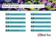 Reef Energy Complete Coral Nutrition - Red Sea · Reef Energy® complete coral nutrition Most of the corals in reef aquariums are considered to be photosynthetic in ... If you miss