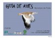 Pinchar aquí - naturmente.esnaturmente.es/wp-content/uploads/2015/03/Guía-Aves-2014.pdf · La Guía de Aves de Parla nace de la unión del conocimiento en aves de los componentes