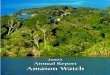 2002 Annual Report Amazon Watch · 8. Brazil: Urucu-Porto Velho & Urucu-Manaus gas pipelines through isolated indigenous peoples’ area in intact lowland rainforests. 9. Brazil: