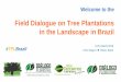 Field Dialogue on Tree Plantations in the Landscape in Brazil · 2. Revisit issues raised in the IMPF dialogue in 2008, noting any resulting outcomes including changes by companies