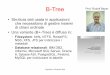 B-Tree Prof. Rudolf Bayer - cs.unibo.itdonat/b-tree.pdf · Informix, Microsoft SQL Server, Oracle 8, Sybase ASI, PostgreSQL, Firebird, MySQL per indicizzare le tabelle Prof. Rudolf