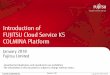Introduction of FUJITSU Cloud Service K5 COLMINA Platform · Data Storage Hybrid data storage function for structured data (RDB) and unstructured data (NoSQL) depending on their properties