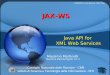 JAX-WS - isti.cnr. Martinelli/XML/doc/WebServices/jax-ws_   Al momento dell'esecuzione Netbeans