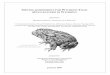 SPECIES ASSESSMENT FOR WYOMING OAD BUFO … · The Wyoming toad (Bufo baxteri) ... (Rana sp. and Pseudacris sp.) ... to other Bufo eggs in the region (Baxter and Stone 1985)