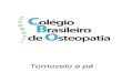 Tornozelo e pé - cbosteopatia.com.brcbosteopatia.com.br/wp-content/uploads/2017/10/Tornozelo_e_pe_8.pdf · O tornozelo compreende a região distal da perna entre os maléolos, além