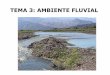 TEMA 3: AMBIENTE FLUVIAL - unsj.edu.ar · PDF fileMorfología del cauce fluvial Las corrientes fluviales (ríos) son geoformas dinámicas sujetas a rápidos cambios en el modelado