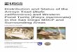 Distribution and Status of the Arroyo Toad (Bufo ... · ii Distribution and Status of the Arroyo Toad (Bufo californicus) and Western Pond Turtle (Emys marmorata) in the San Diego
