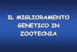 IL MIGLIORAMENTO GENETICO IN ZOOTECNIA - …unina.stidue.net/Zootecnica/MG_gen_carquant.pdf · Il MG in zootecnica si occupa quasi esclusivamente di caratteri di interesse economico