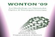 WONTON ‘09 - University of TokyoWONTON/WONTON2009Abstracts_light.pdf · The Mott-Hubbard Interaction and Exciton Binding Energies in Semiconducting and Metallic ... Luiz Gustavo