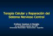 Terapia Celular y Reparación del Sistema Nervioso Central · Terapia Celular y Reparación del Sistema Nervioso Central ... Efecto Injerto Contra Leucemia . Evolución de la Lesión
