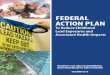 Federal Action Plan to Reduce Childhood Lead Exposures and ... · ACTS 5 The Federal Action Plan to Reduce Childhood Lead Exposures and Associated Health Impacts (Action Plan) is