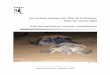 Les tortues marines sur l'Est de la Guyane: bilan de l ... tortues marines... · 2 Equipe Kwata "tortues marines" 2005 Typhaine Le Nours & Marie Lochouarn (responsables marquages)