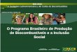 O Programa Brasileiro de Produção de Biocombustíveis e ... · Um dos maiores mercados ... nº 482/2012); • Crescente envolvimento do MDA na pauta ... os avanços do conceito