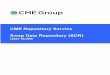 CME Repository Service - Swap Data Repository (SDR) User … · CME SDR User Guide Page 2 1.0 Introduction This document provides an overview of CME 's CFTC registered Swap Data Repository