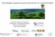Estrategia espacial para promover la conectividad - cbd.int · Laboratório de Ecologia da Paisagem e Conservação . Mata Atlántica brasileña ~150 millones hectáreas Bosques tropicales