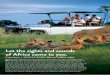 Let the sights and sounds of Africa come to you. · safari areas of Africa, over the last 20 years, the Sabi Sand Game Reserve has built a reputation as one of the best places in