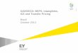 G20/OECD: BEPS, Intangibles, ICE and Transfer PricingFILE/1310... · G20/OECD: BEPS, Intangibles, ICE and Transfer Pricing Brazil October 2013