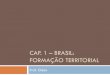 CAP. 1 – BRASIL: FORMAÇÃO TERRITORIAL · propriedade e de exploração econômica. ... incorporaram ao território do Brasil. Mais da metade da extensão total das fronteiras