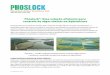 Phoslock®: Uma solução eficiente para controle de algas ... · Simulação da interação presa-predador através da modelagem ecológica. Estas interações são importantes para