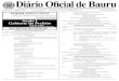 DIÁRIO OFICIAL DE BAURU 1 Diário Oficial de Bauru · diário oficial de bauru diÁrio oficial de baurusÁbado, 02 de fevereiro de 2.013 1 ... engraxador de mÁquinas 1 sub-total