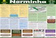 NORMINHAS Revista Digital Semanal MINISTÉRIO Norminha · Fun dos enfermeiros de pronto socor pre que a Sabesp faça a substituição ... PCMAT e PCMSO’’ Palestrante: Rodrigo
