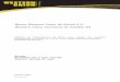 Banco Western Union do Brasil S.A. Western Union Corretora ... · Relatório de Gerenciamento de Riscos para atender ... avaliação e mitigação dos riscos ... reportada em relatório