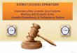 The Juvenile Justice System - Dadeschools.netattendanceservices.dadeschools.net/pdfs12/IERP_JJS_12.pdf · The Juvenile Justice System . Delinquent Youth Students who are involved