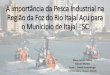 A importância da Pesca Industrial na Região da Foz do ... · modalidades de pesca e da ... produção e beneficiamento. •Instabilidade na Gestão Pública da pesca brasileira