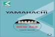DENTES DE RESINA ACRLICA NEW ACE - .5 Formas de dentes anteriores superiores. ... Os dentes New