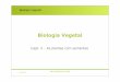 Biologia Vegetal - FCULwebpages.fc.ul.pt/~maloucao/Aula 16BV.pdf · • Crescimento primário e secundário. • Principais tipos de células do xilema • Diferença entre traqueídos
